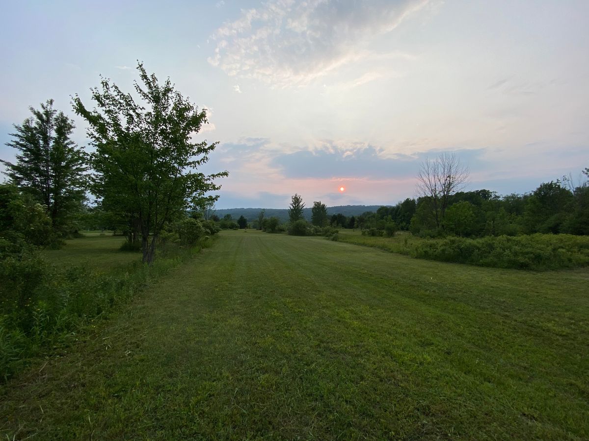 Hole 5 mid fairway