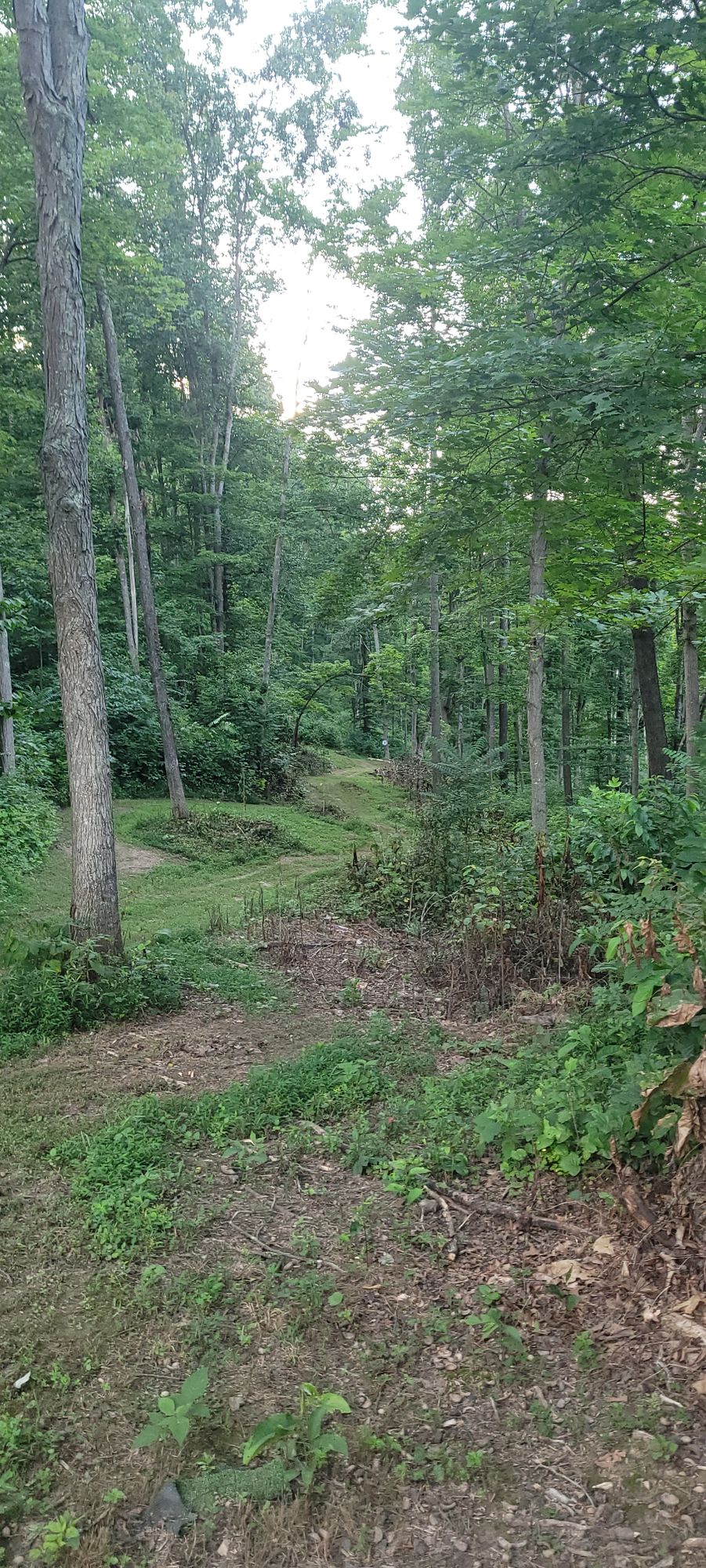 Hole 4