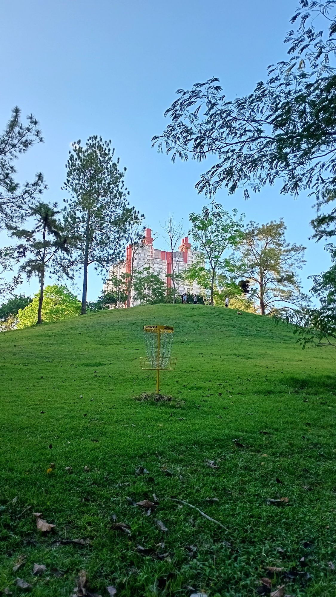Parque Omar DG Course
Hole 9 Target