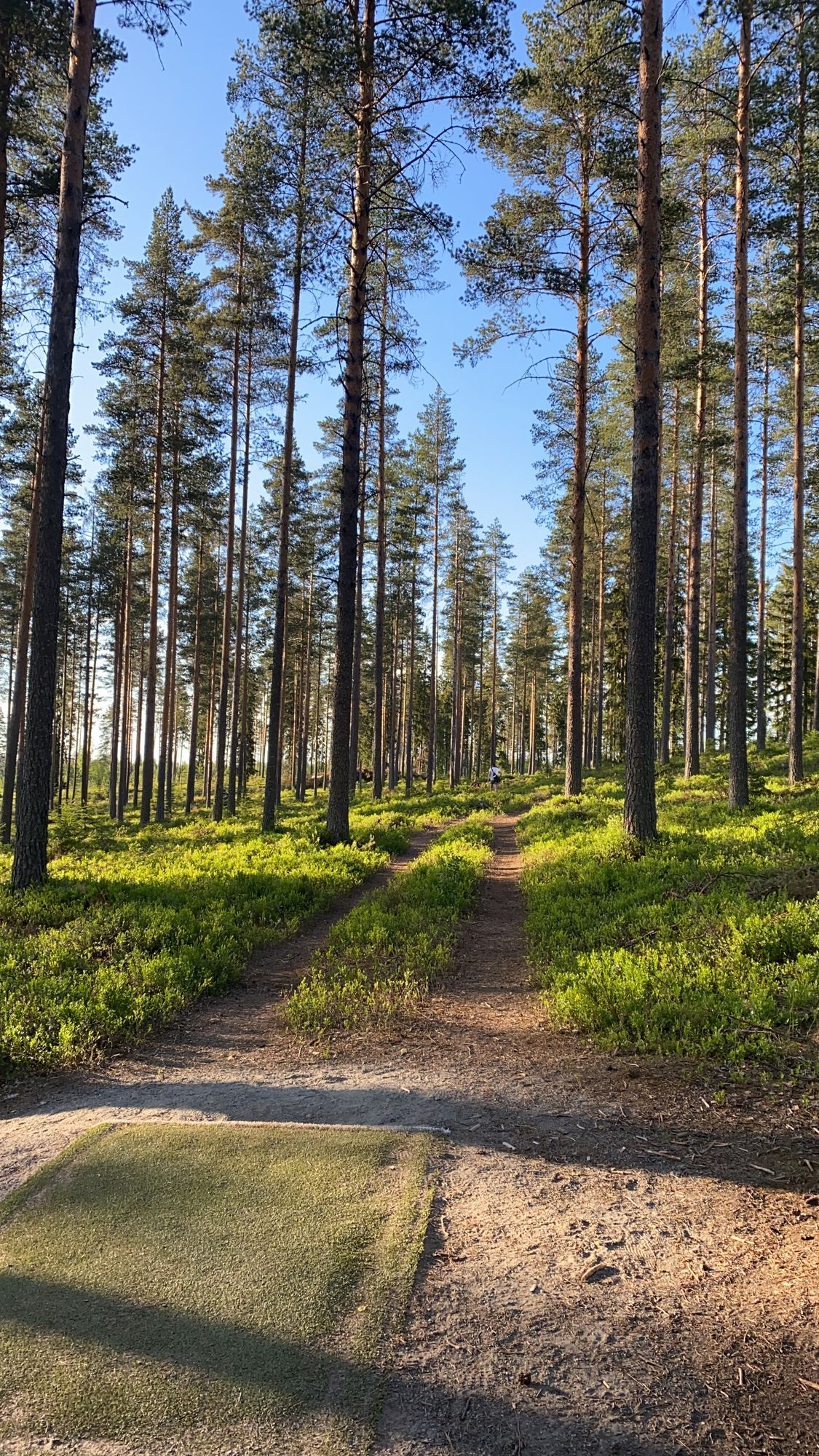 Väylä 9