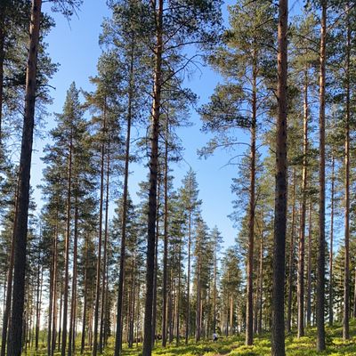Väylä 9