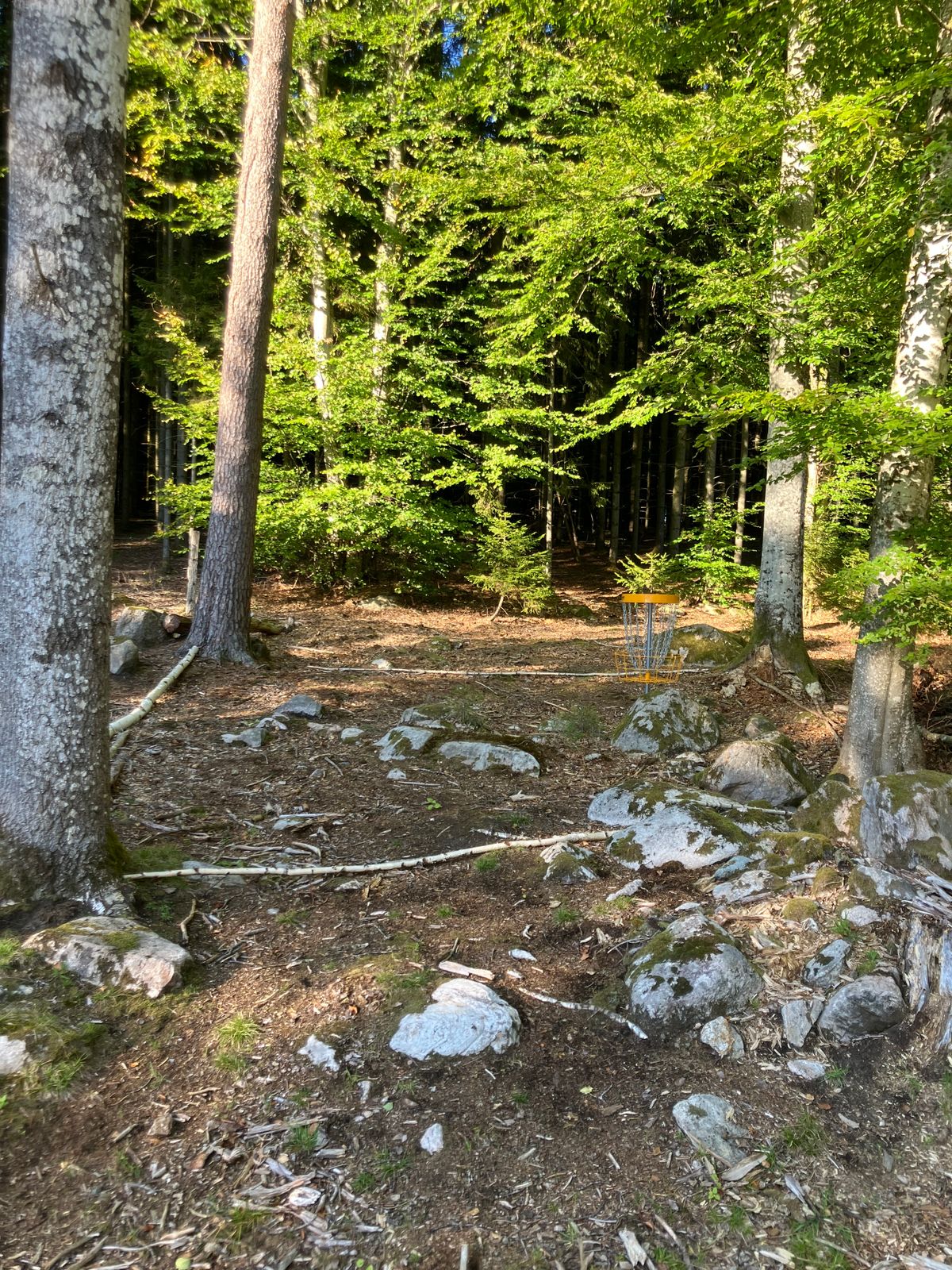 Hål 9 
Ö-hål