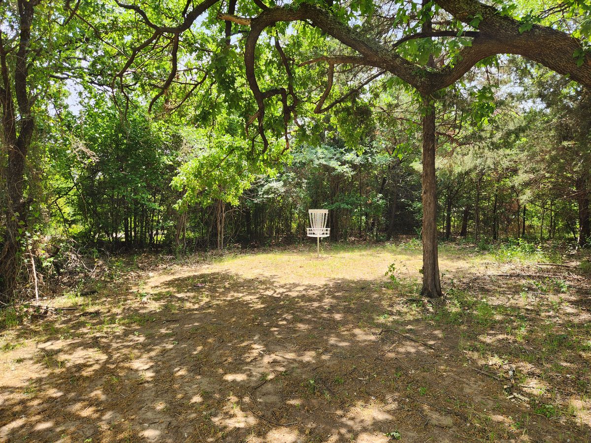 Hole 5 green