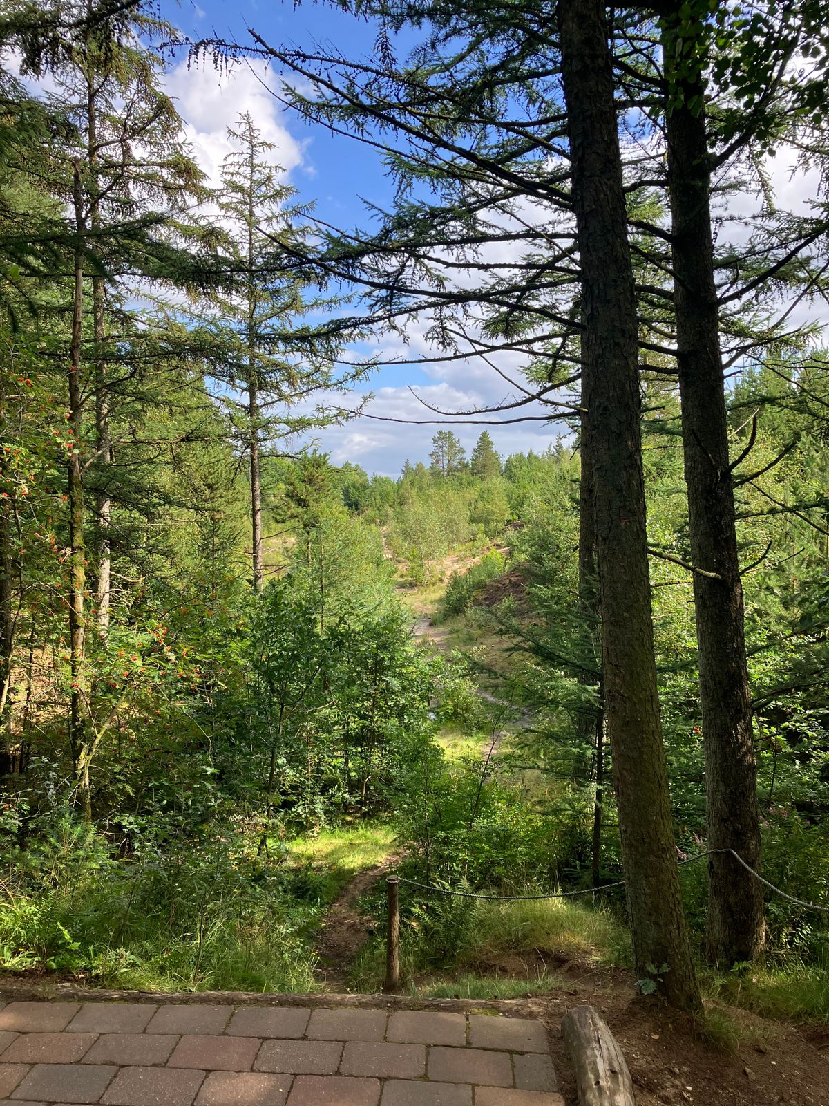 Tee on Hole 1 in the summer