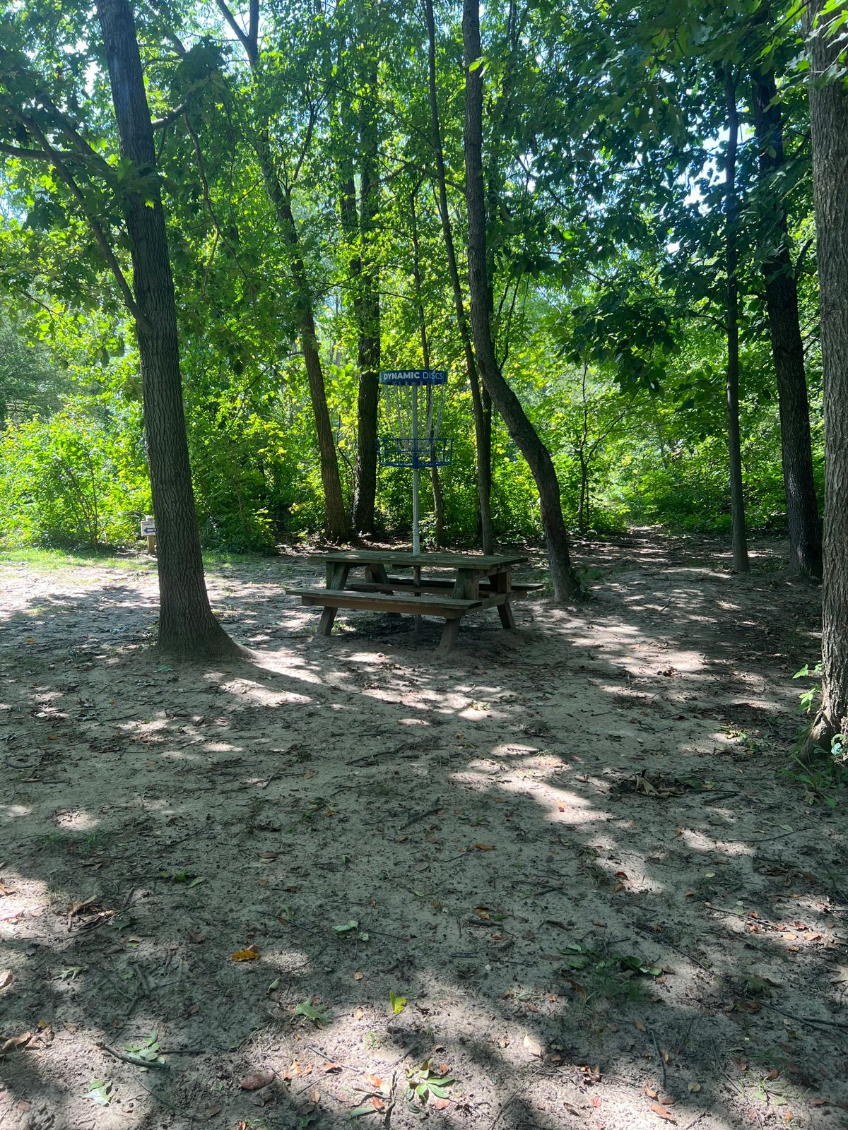 Hole 7 - Putt
