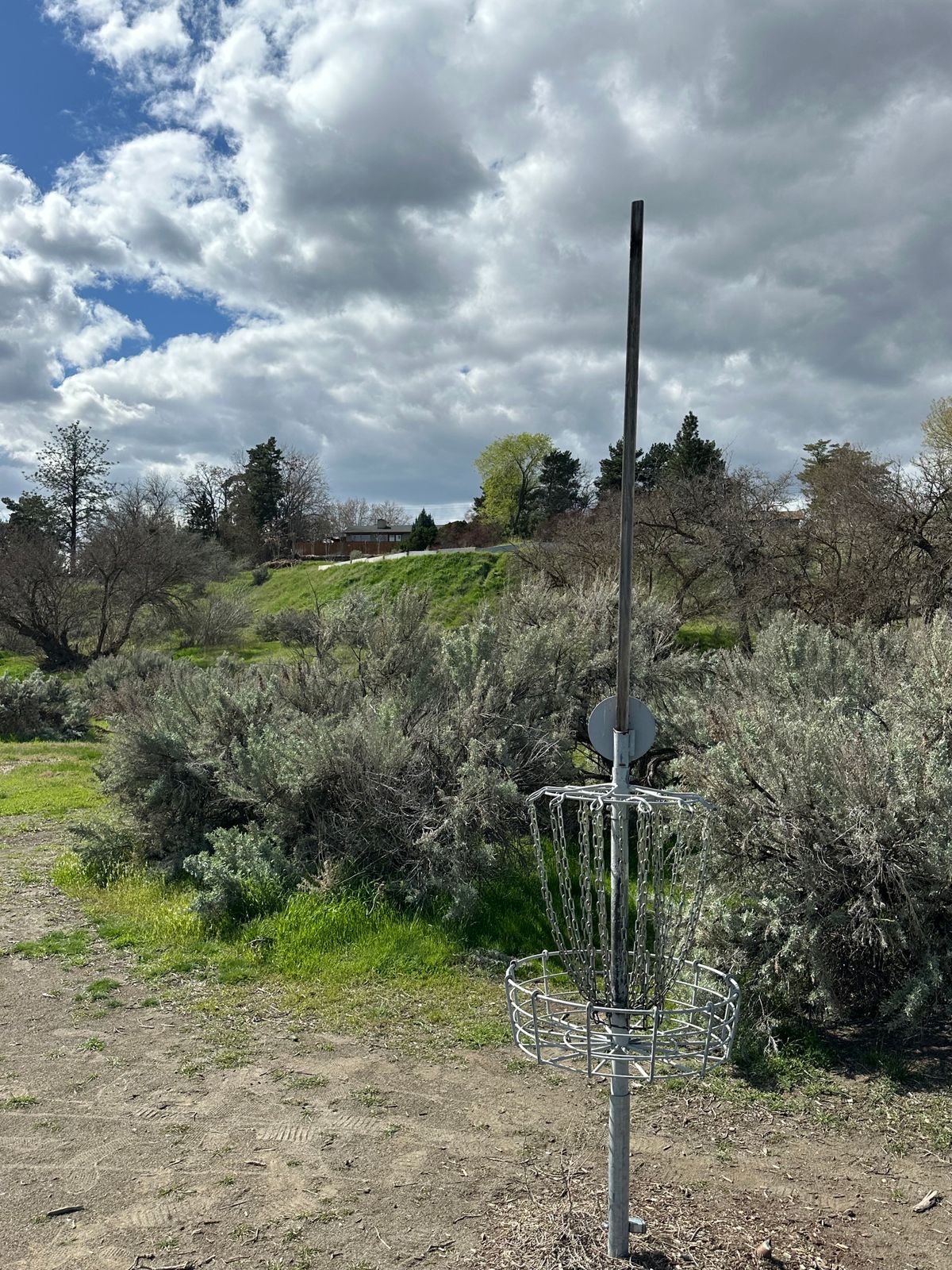 Hole 9 basket looking back to tee pad