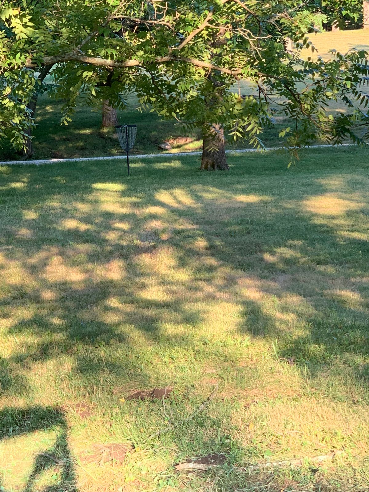 Shady putt