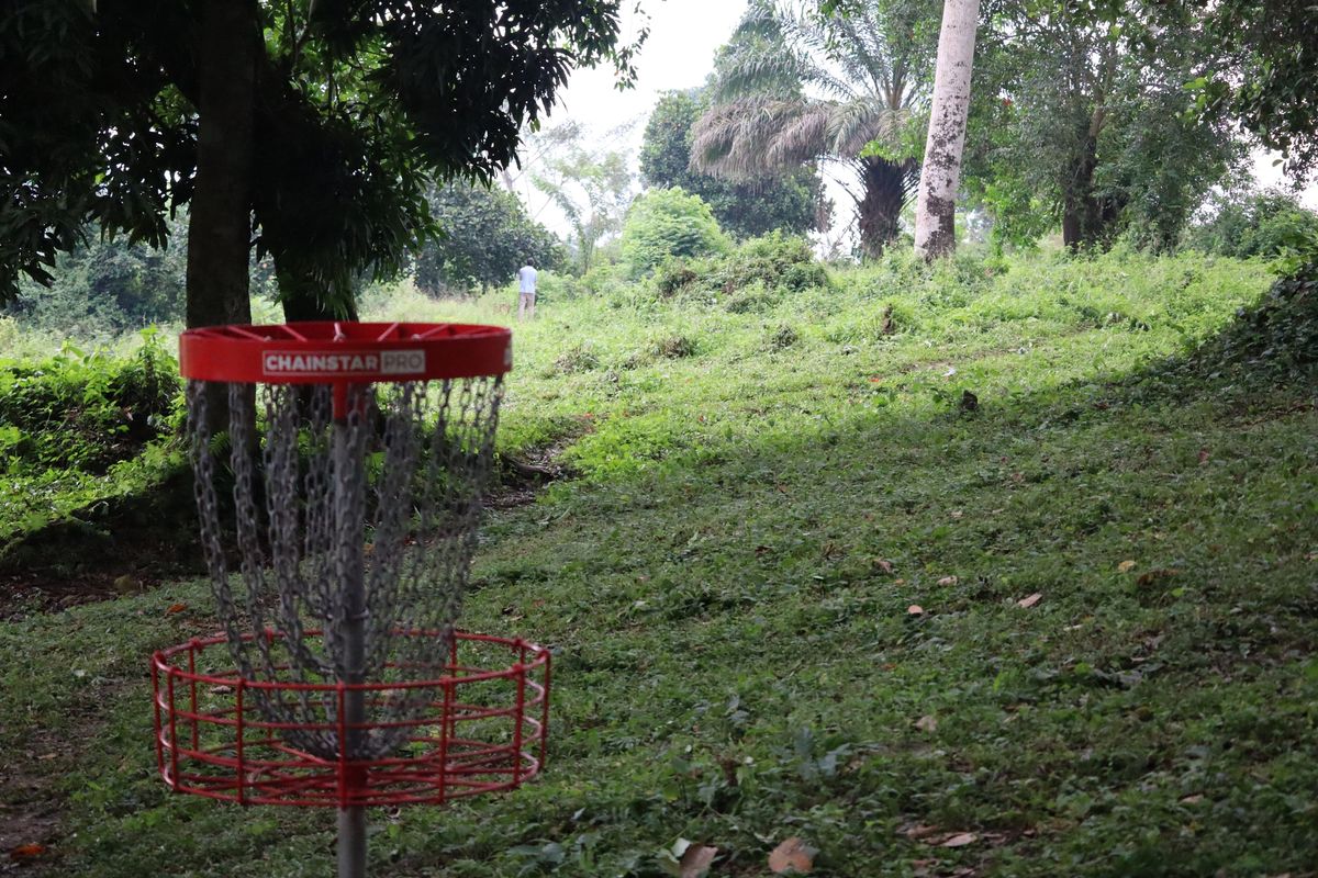 Hole 6 Basket