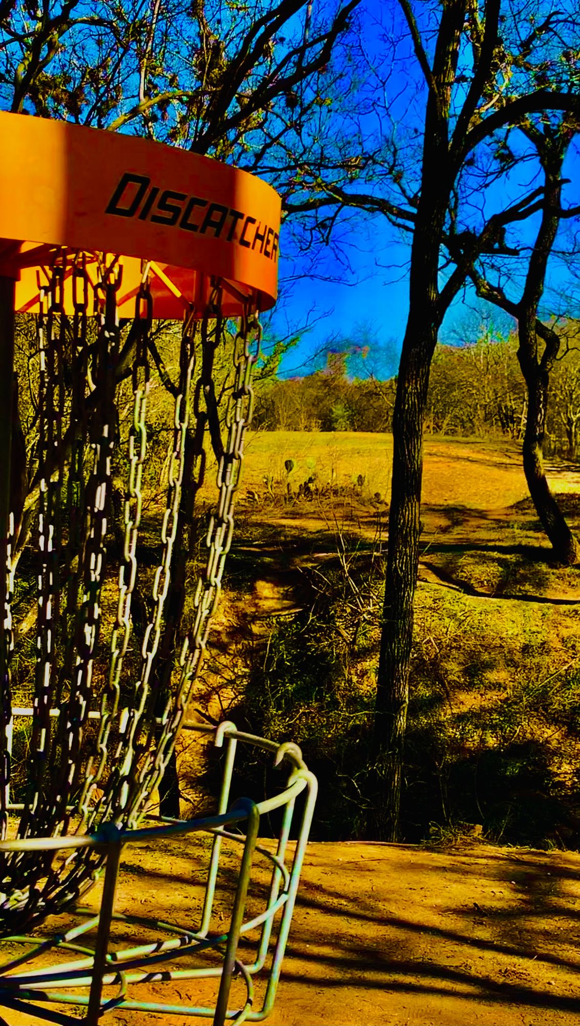 13 from basket looking towards fairway