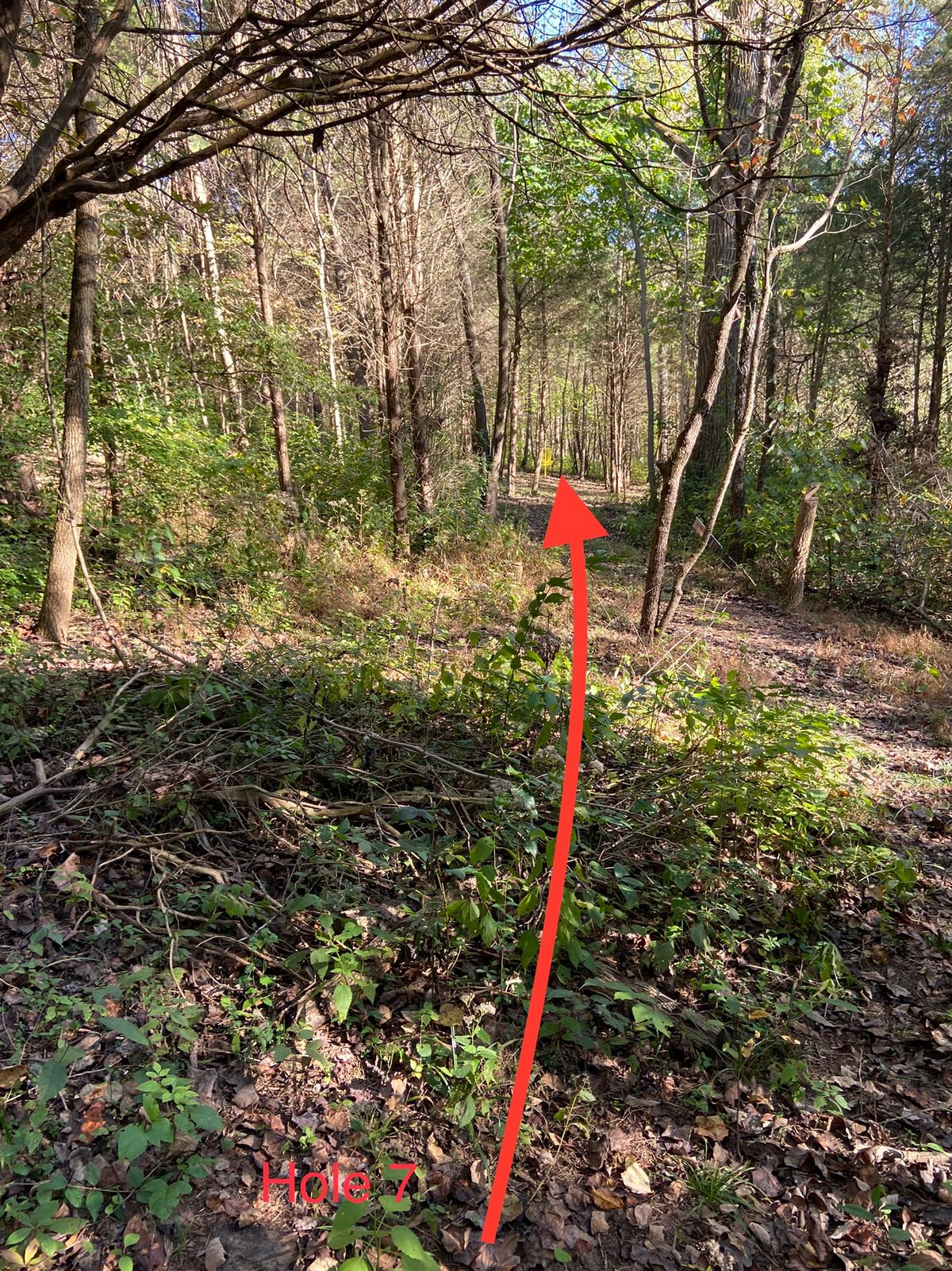 Hole 7