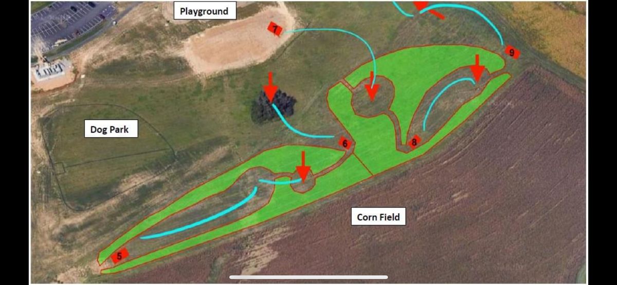 Areas in green will be filled in with wildflowers. Should create some challenging OB in 24.