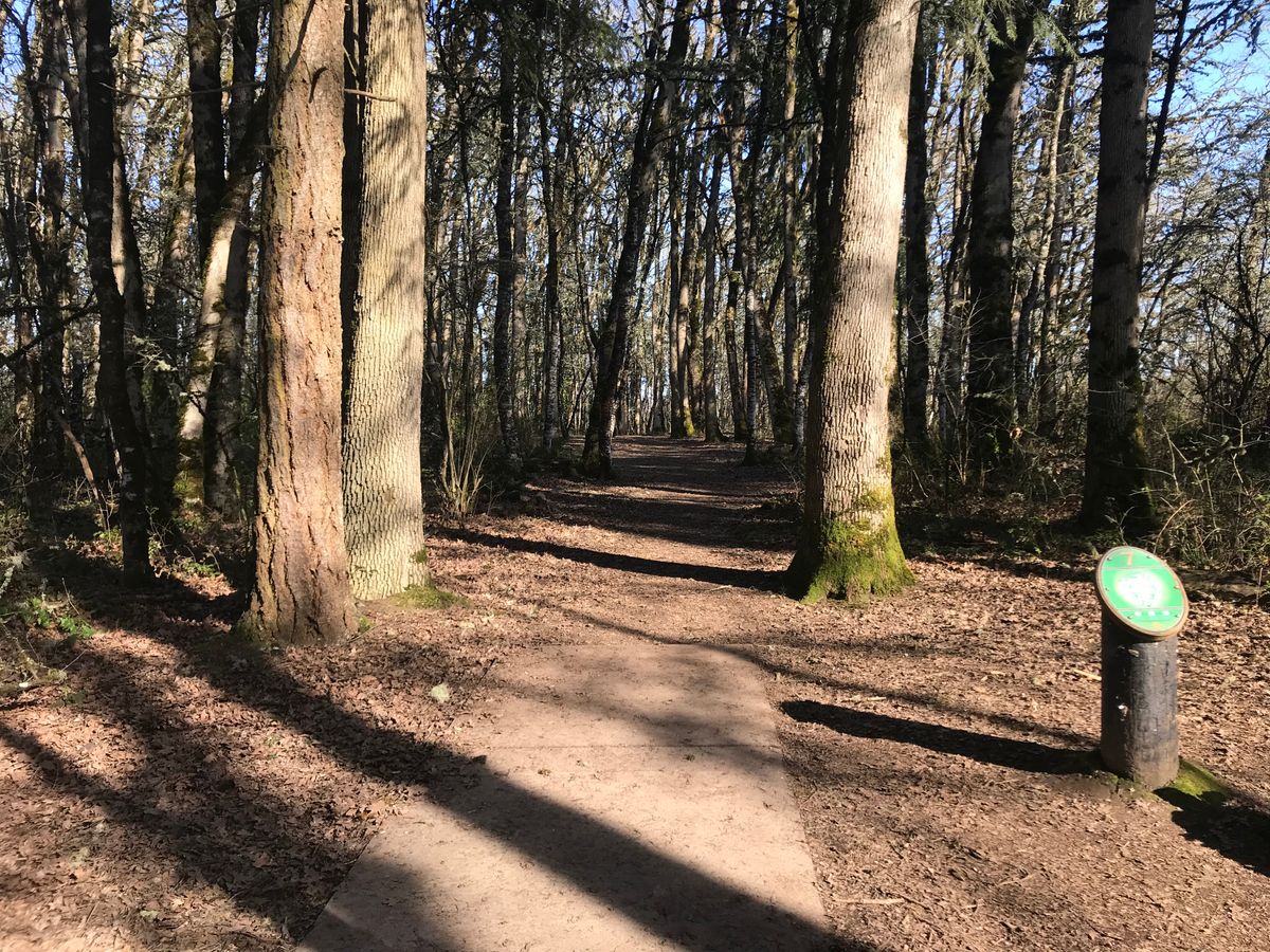 View from Hole 7