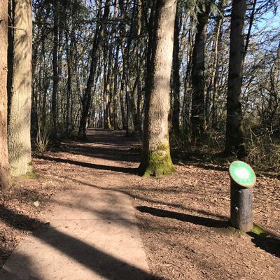View from Hole 7