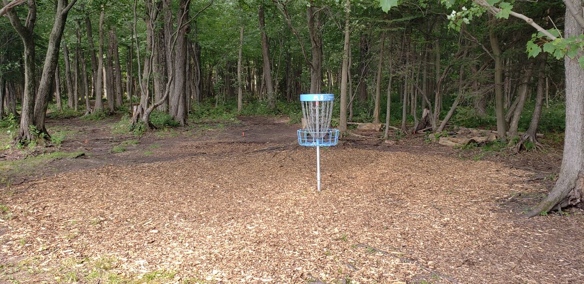 Fresh woodchips on Circle #8