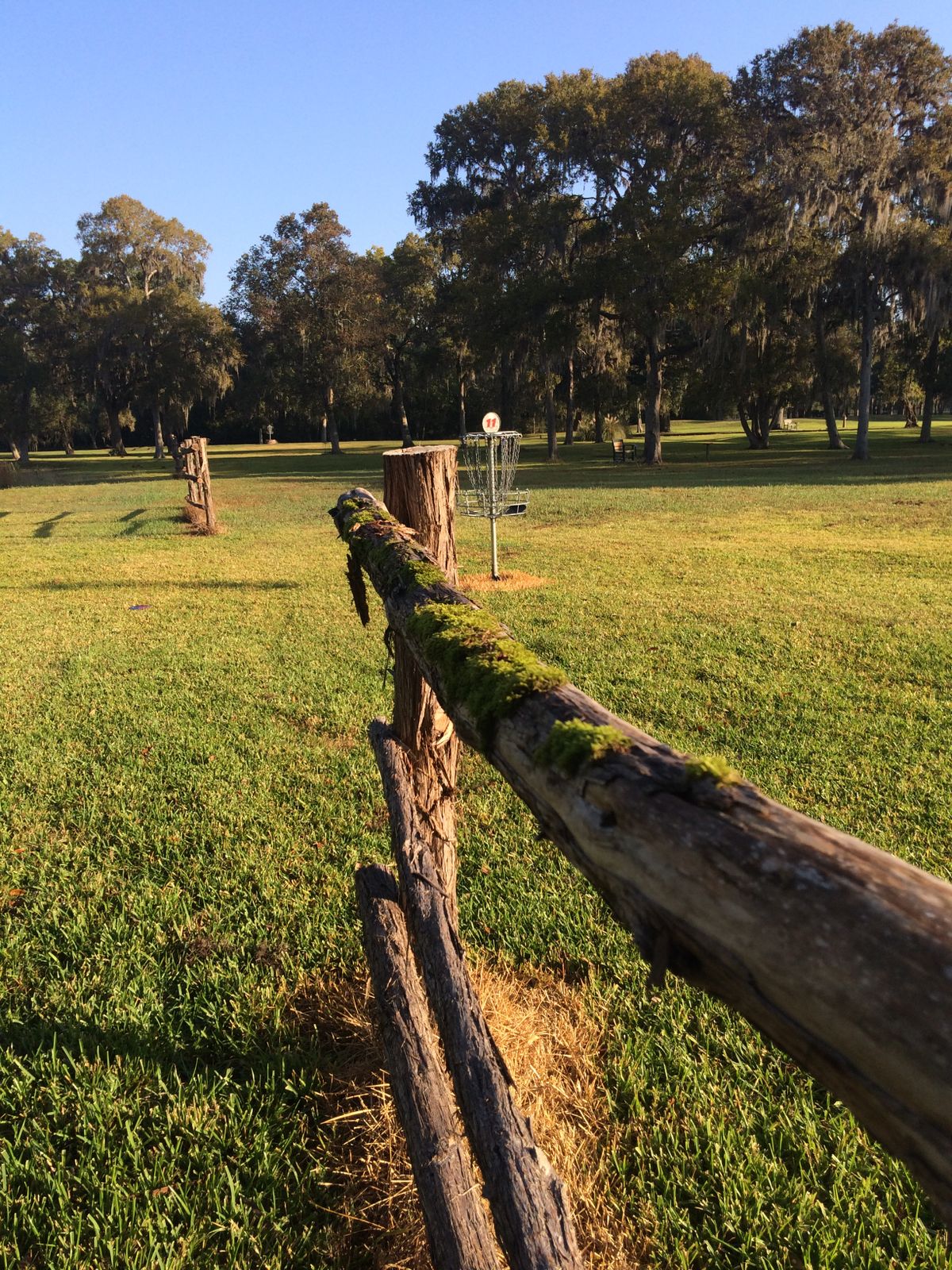 Hole 11 basket