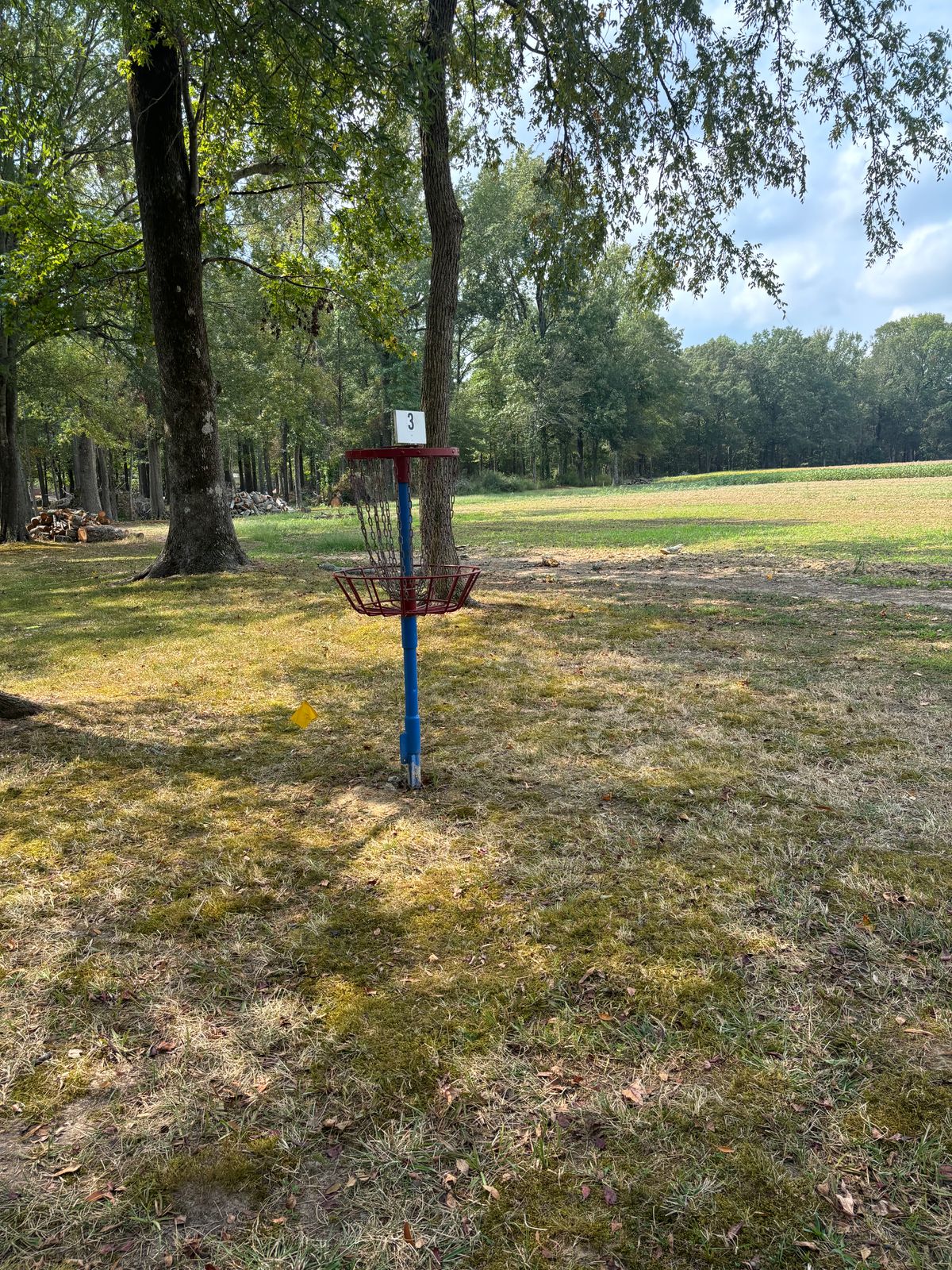 Hole 3 basket