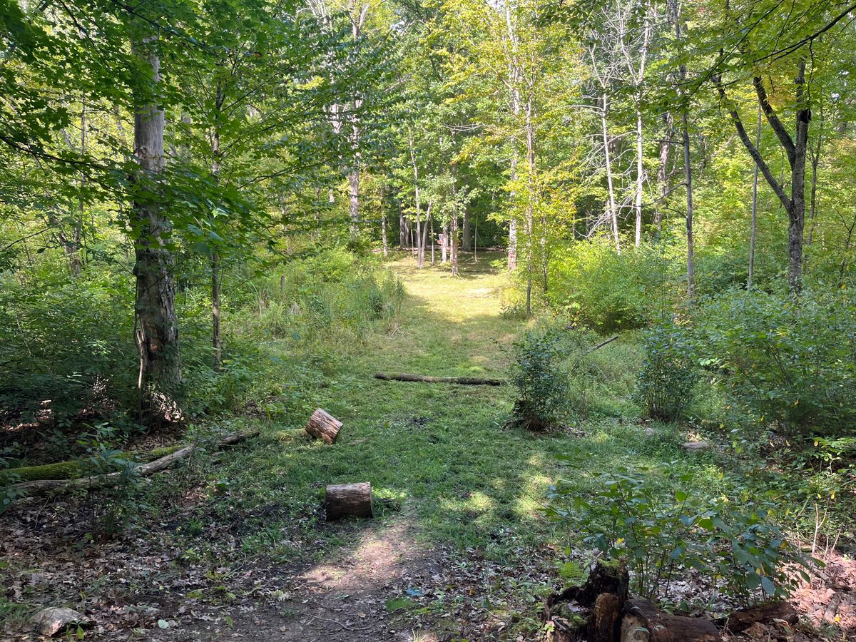 Hole 3 Fairway OG Original 9