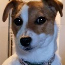 User avatar image