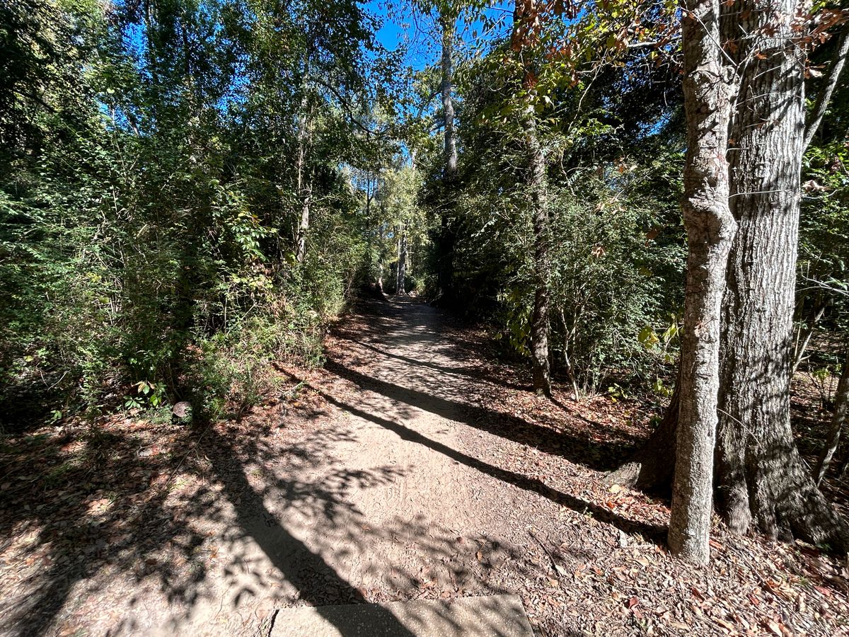 Hole 5 Fairway