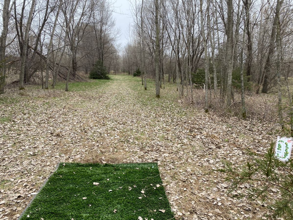 Hole 5 (April 2021)