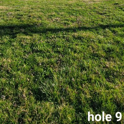 Tee pad shot for basket 9. Wide open!