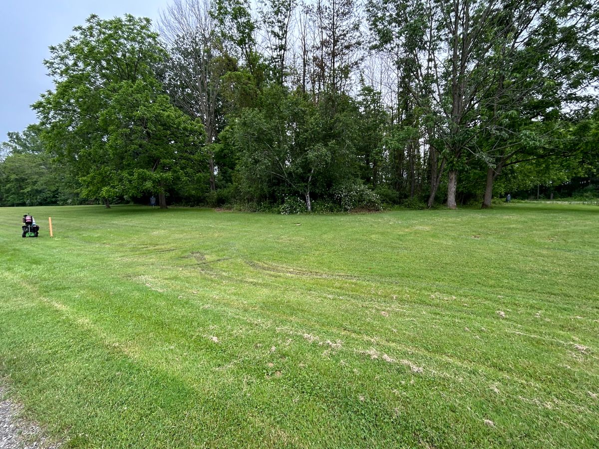 Hole 12 from the side.  Tee to the left. Basket back to the right.