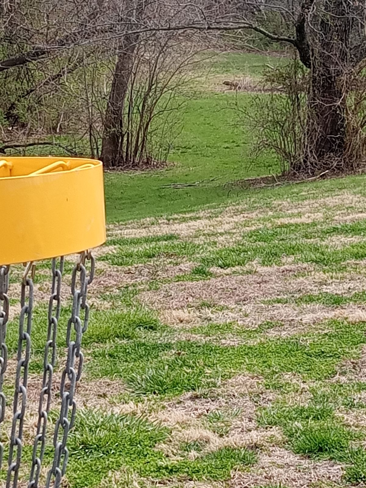 Hole 8 back towards tee pad.