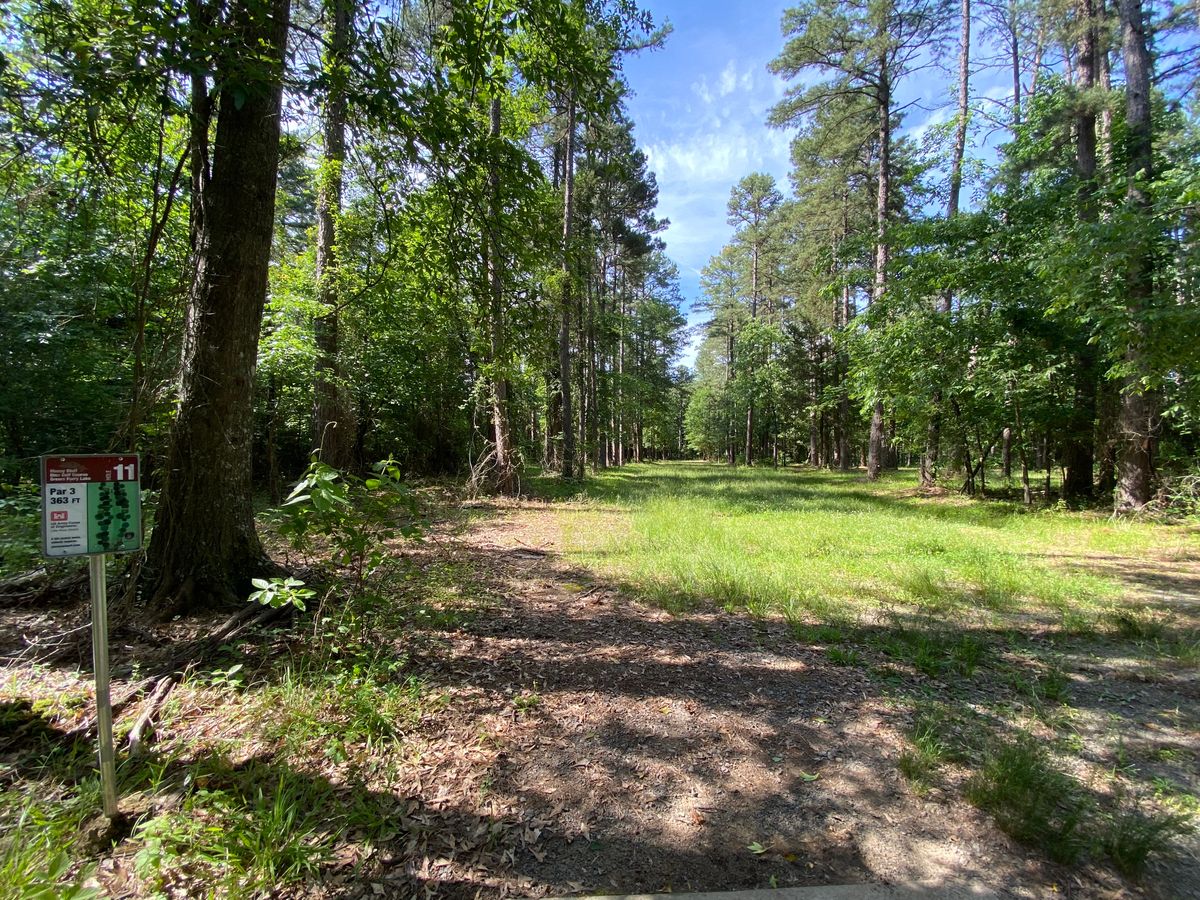 Hole 11