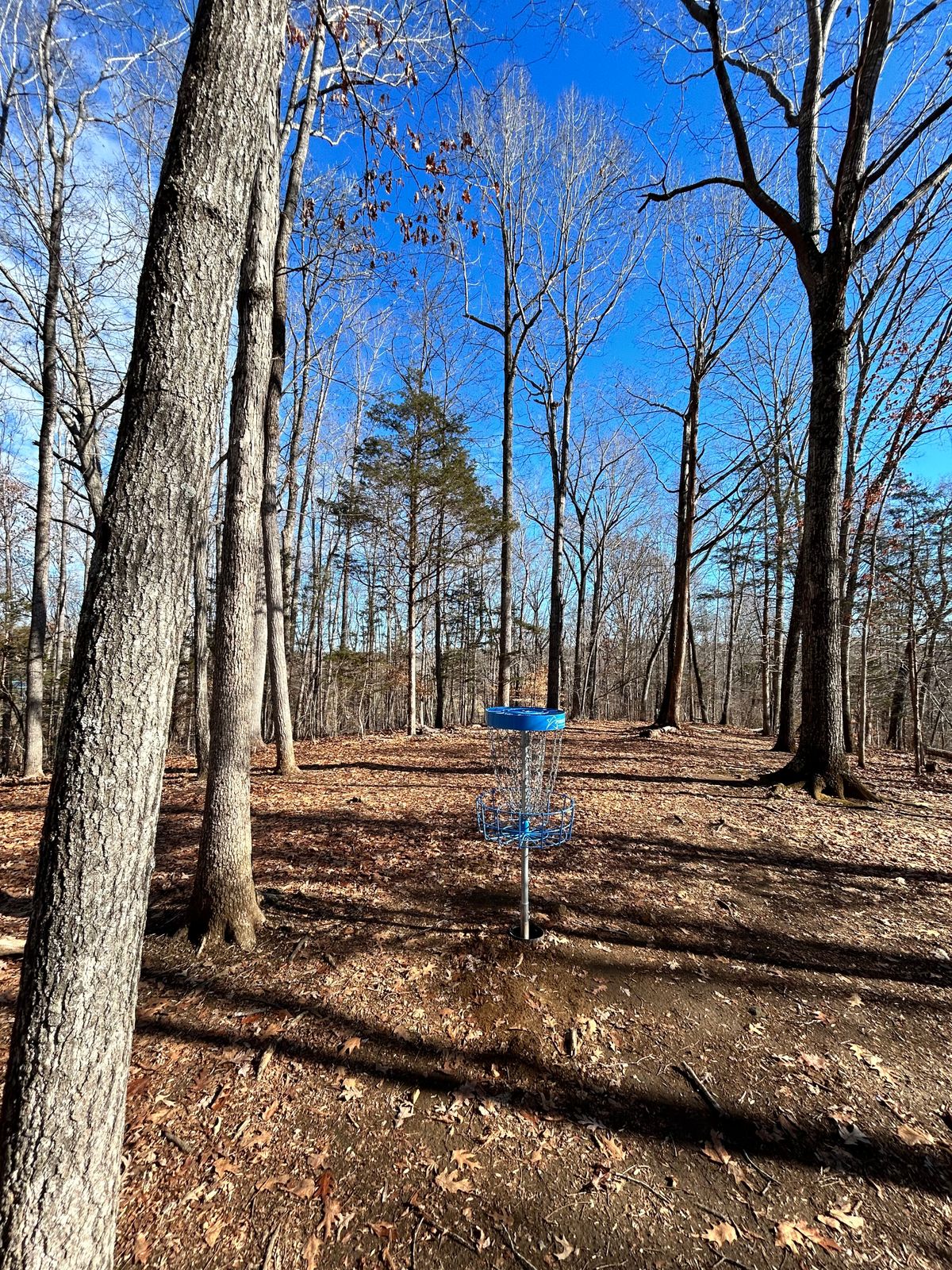 New baskets ‘23 hole 13