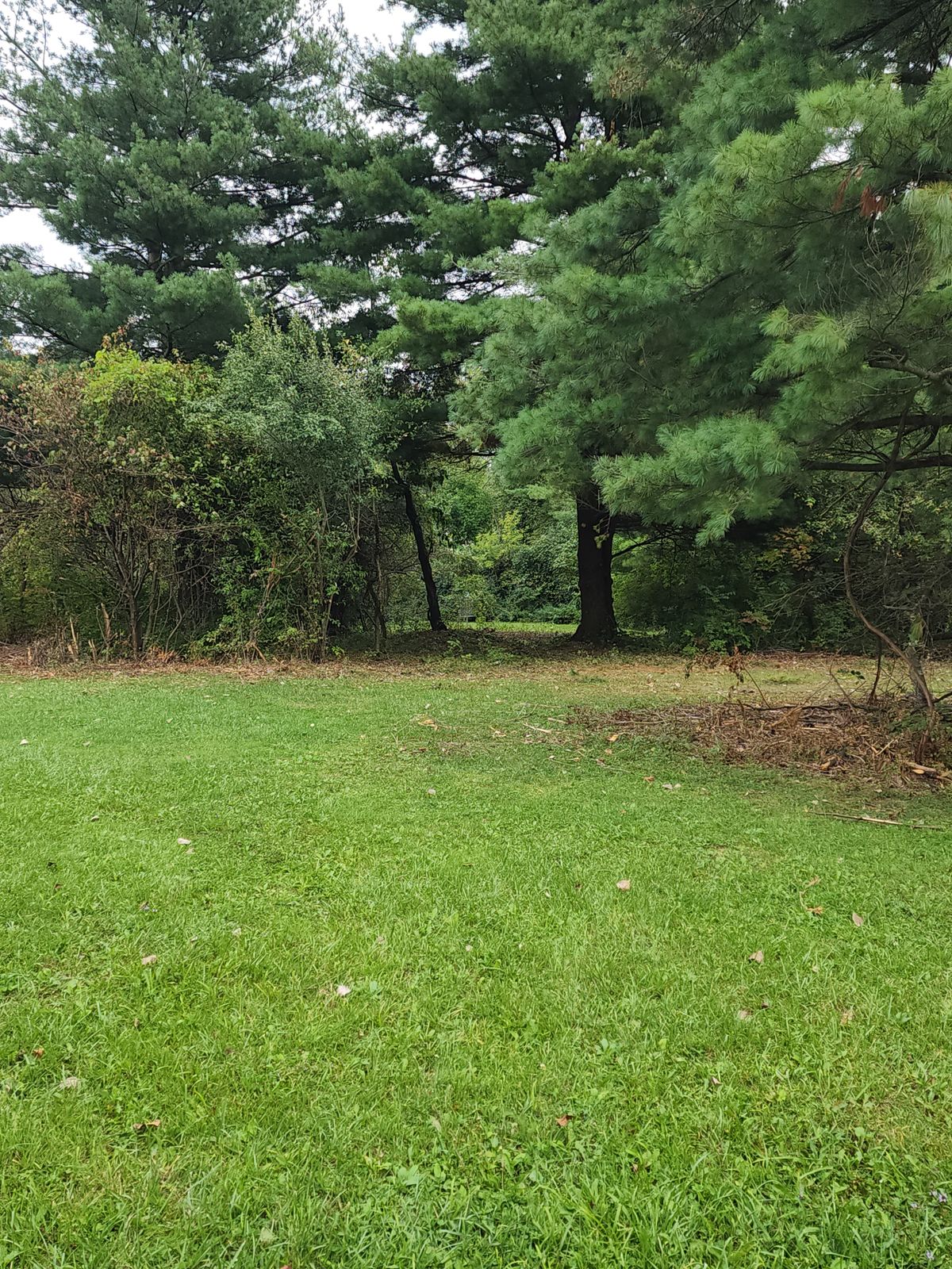 Hole 5, B Position
