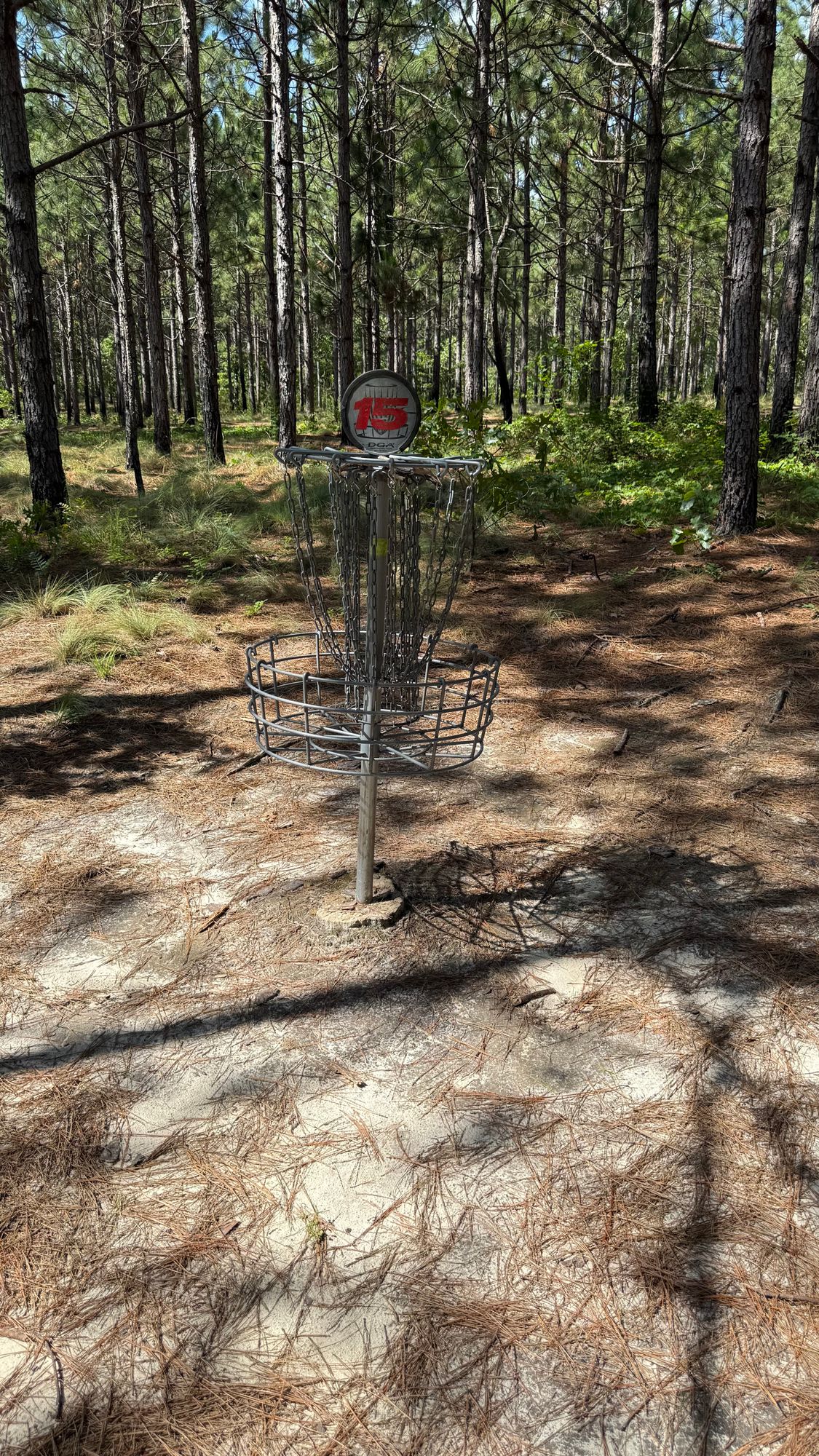 Hole 15 Basket
