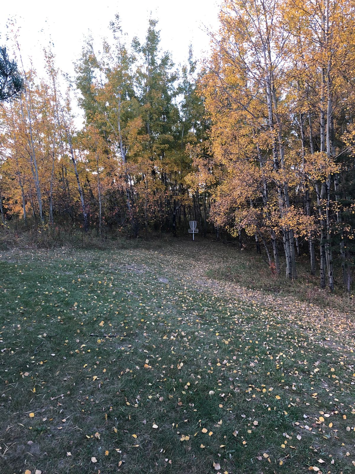 Hole 12