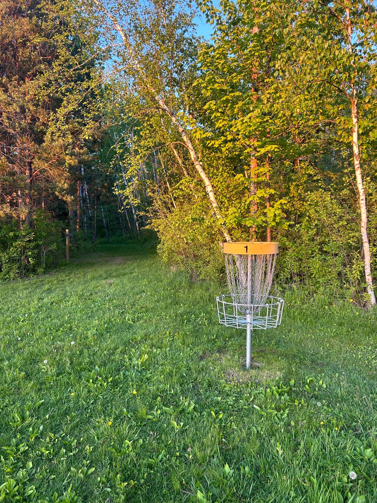 Hole 1 basket looking towards 2s tee area
