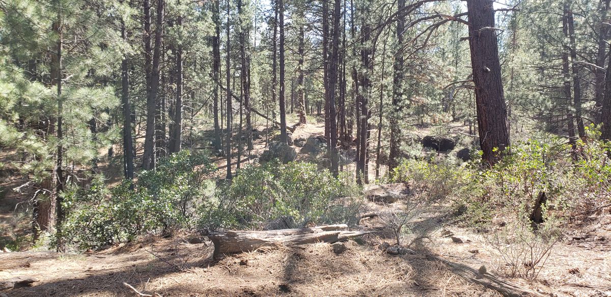 Hole 1. The pin is across the gap towards the flat.