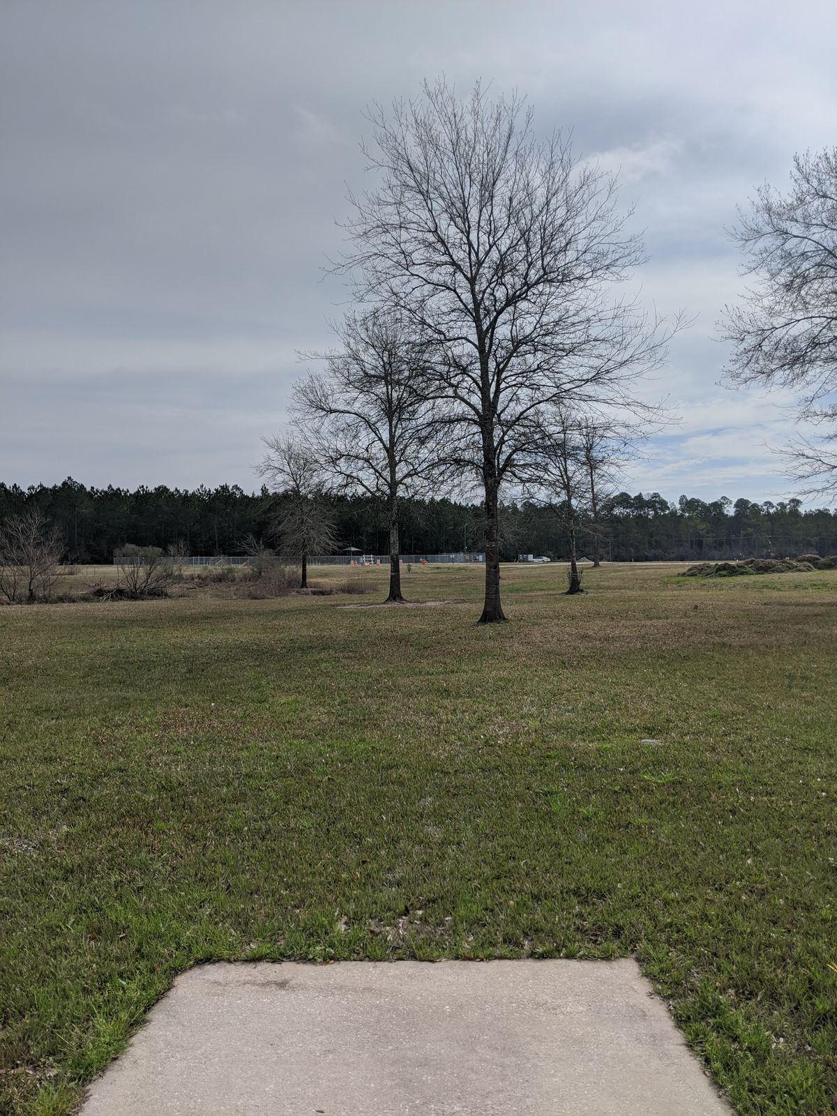 Hole 12 Short Tee