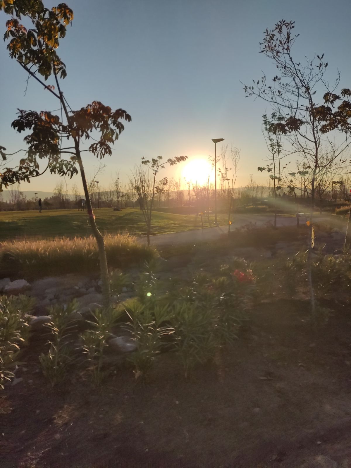 Atardecer