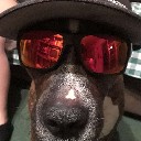 User avatar image
