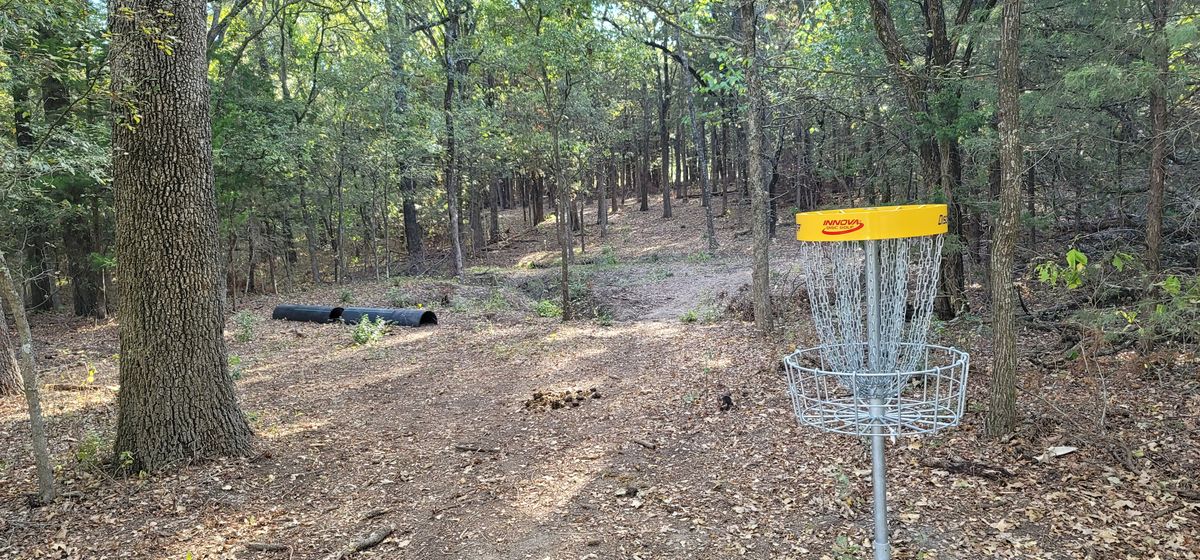 Hole 7 basket (looking back up 7 fairway)
