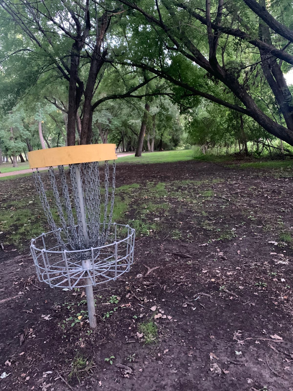 Hole 2 basket I believe.