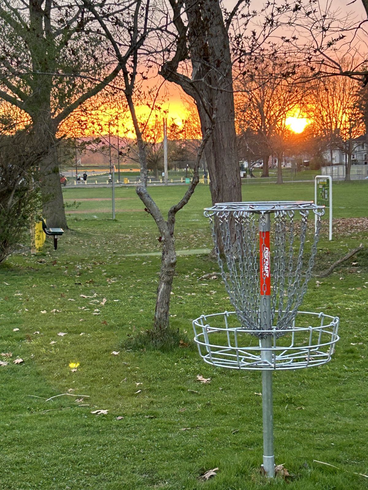 Sunset behind basket on Hole # 2