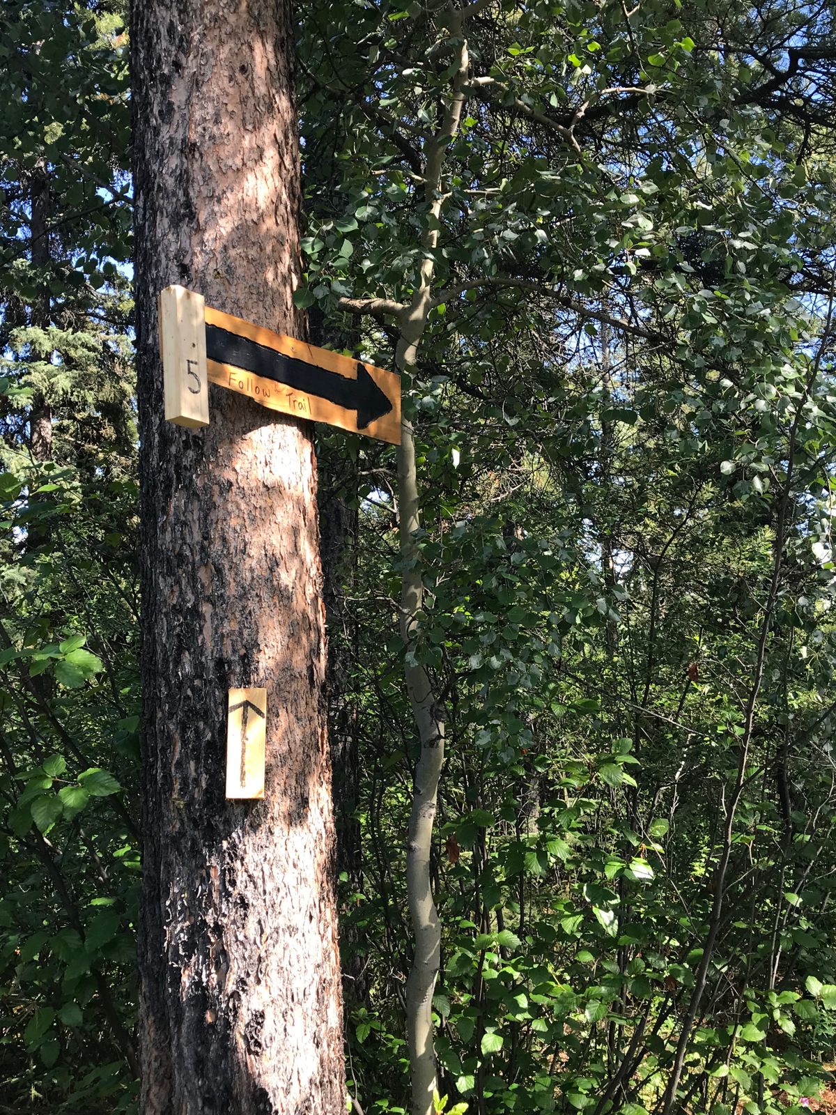 Path to 5 sign