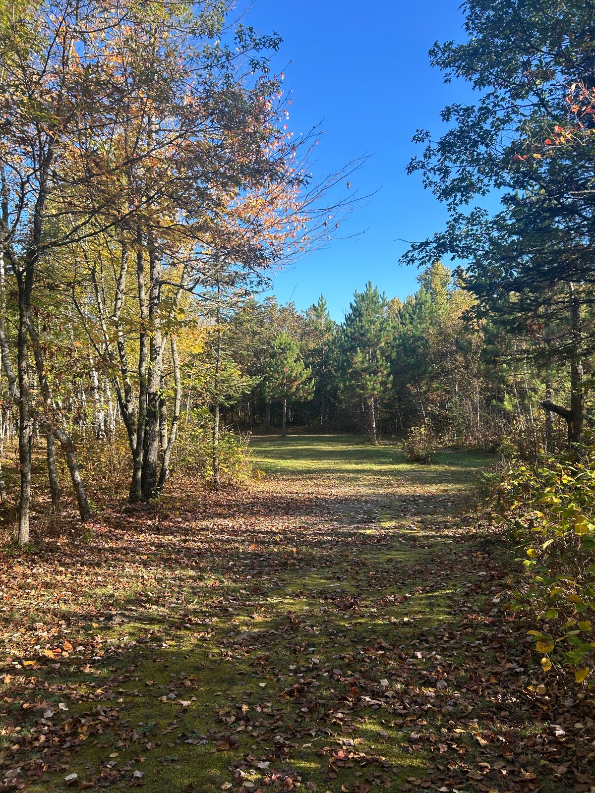 Hole 2 fairway
