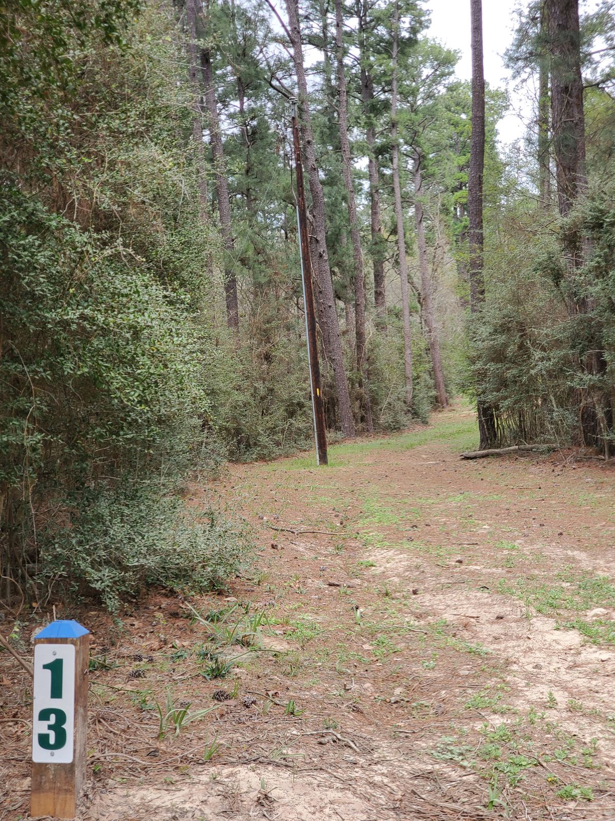 Hole 13 blue tee