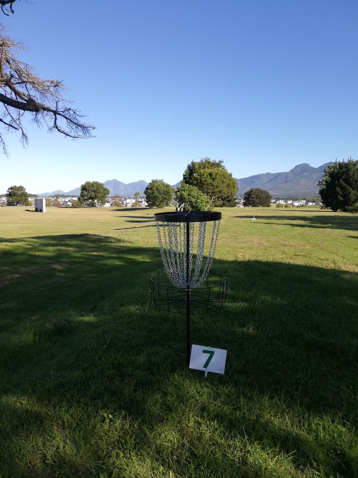 Hole 7 basket.