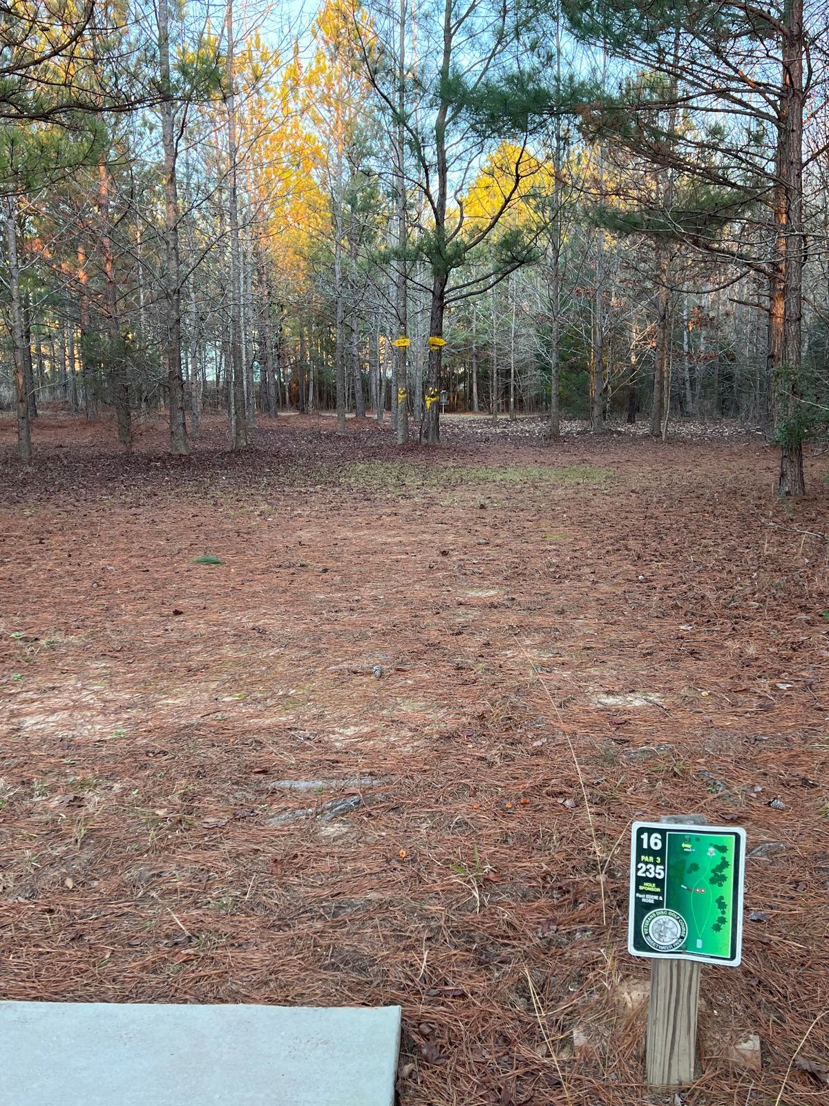 Anti-Mando between two marked trees. 