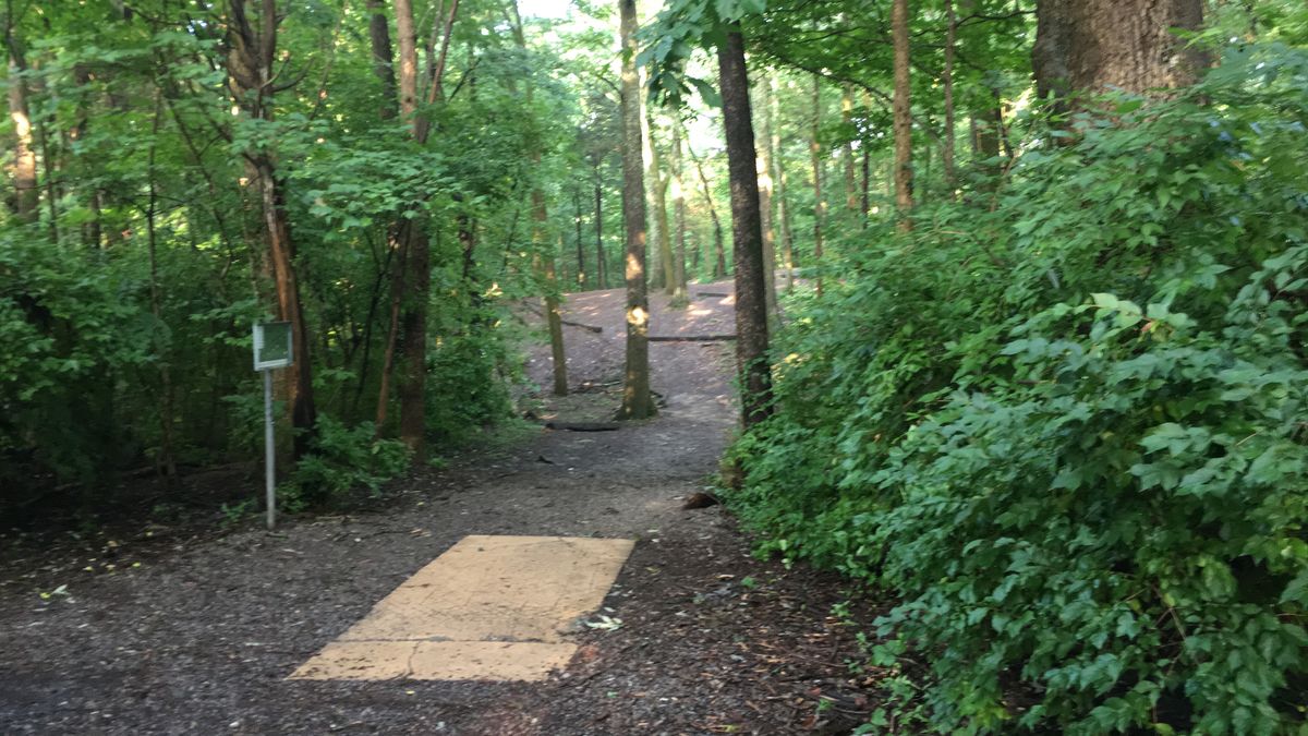 Hole 5