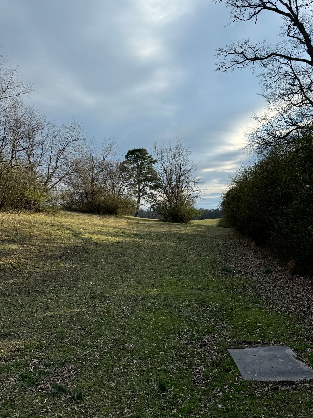 Hole 6 blind tee shot