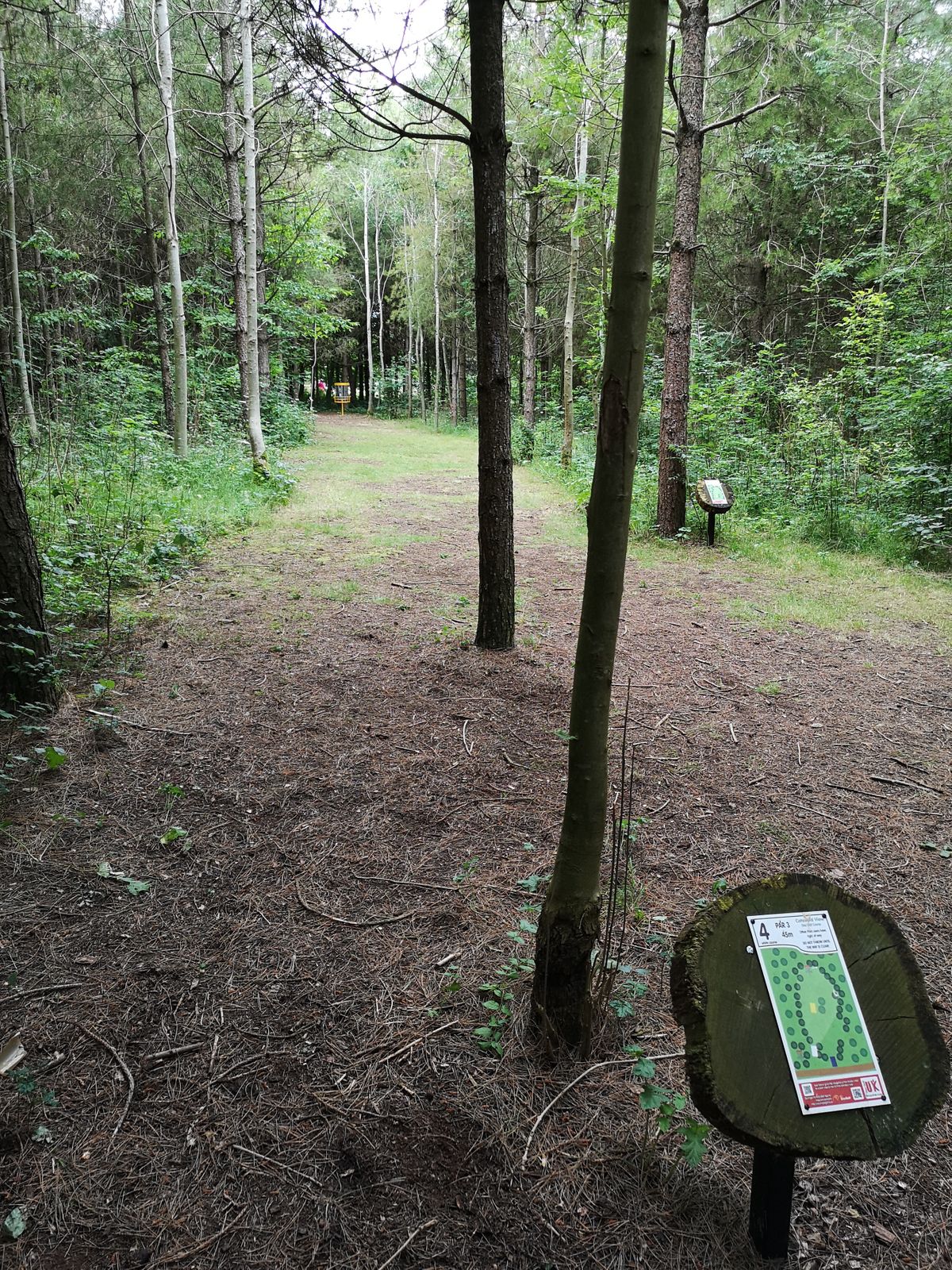 View from White Tee Hole 4