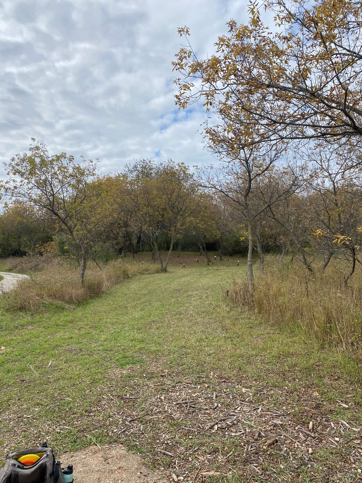 Hole 16 teeshot. Want to throw in trees and to left