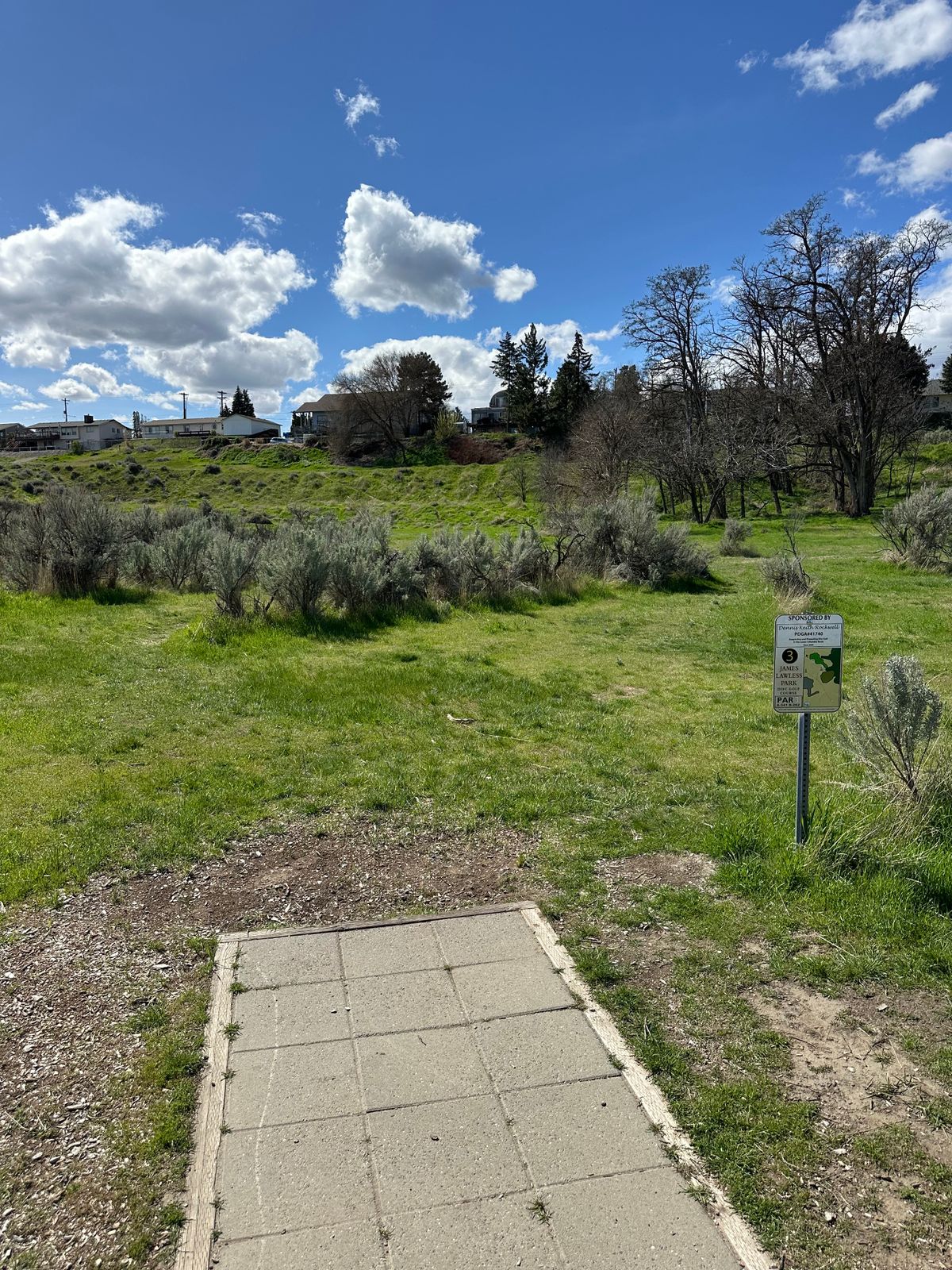 Hole 3 tee pad